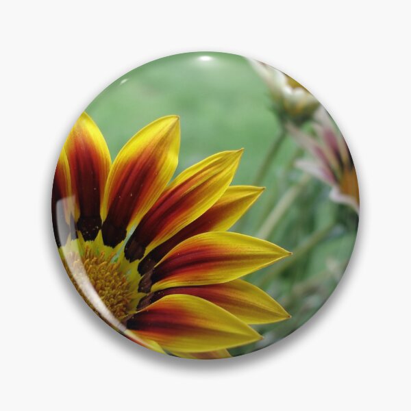 Item preview, Gazania designed and sold by Jacki Temple.