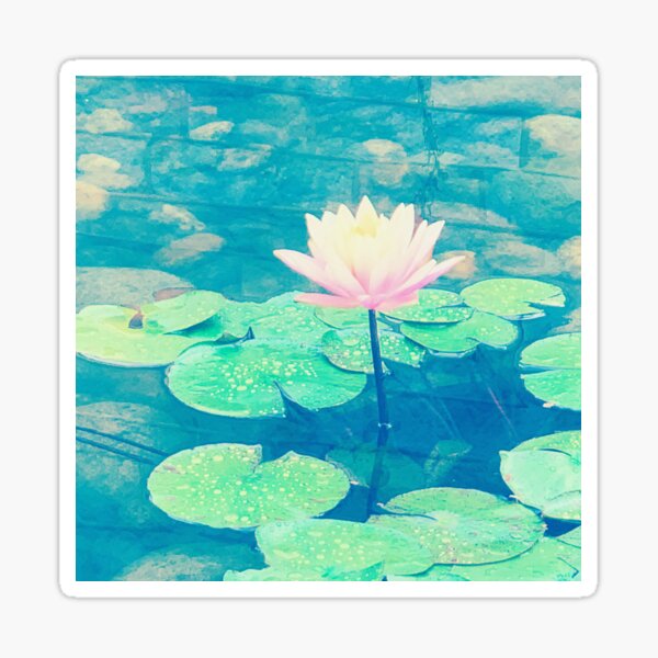 Summer Water Lilies Sticker