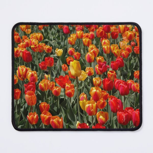 Item preview, Bright Tulip Flowers Blooming designed and sold by newburyboutique.