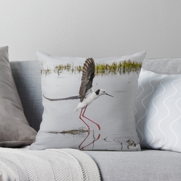 Item preview, Pied stilt lifting off. designed and sold by DaveBassett.