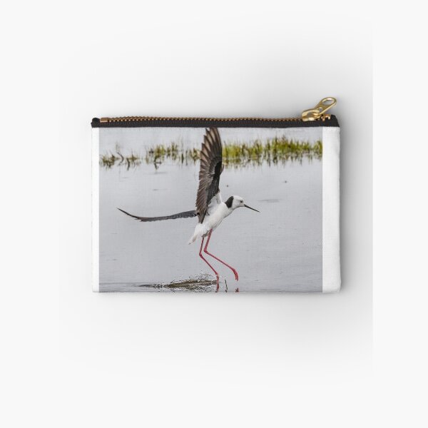 Item preview, Pied stilt lifting off. designed and sold by DaveBassett.
