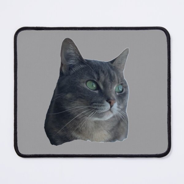 Item preview, Cat Lover designed and sold by VJKTees.