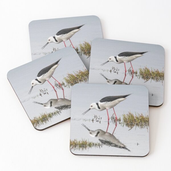 Item preview, Pied stilt reflections.  designed and sold by DaveBassett.