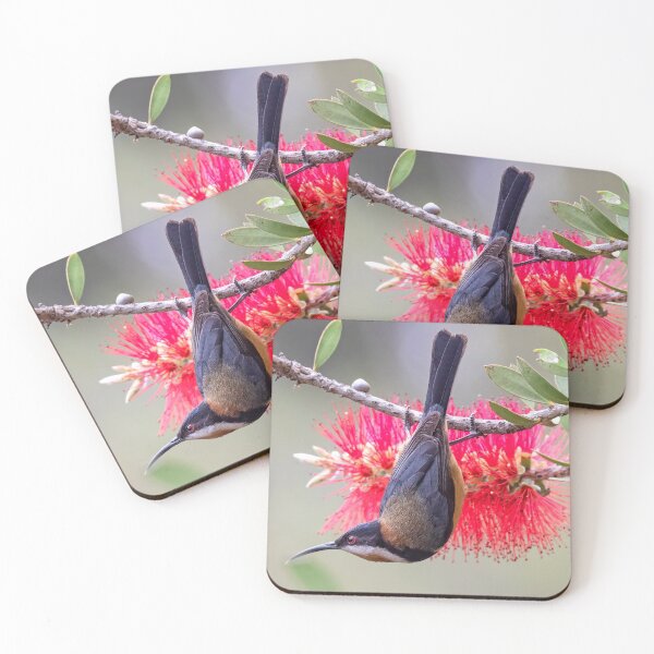 Item preview, Eastern Spinebill. designed and sold by DaveBassett.