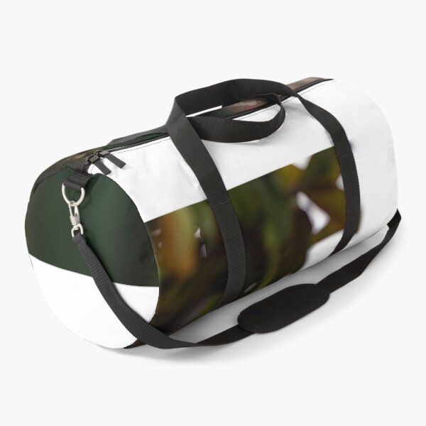 Item preview, LFA designed and sold by JWKexotics.