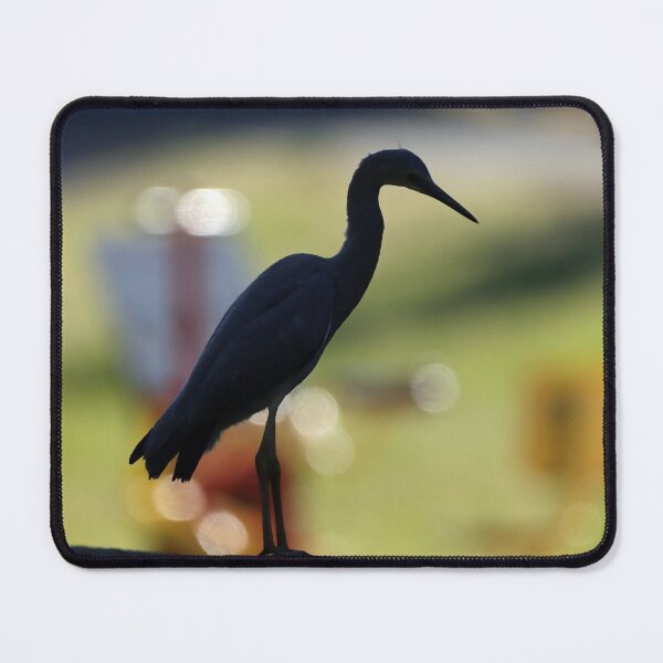 Item preview, White Faced Heron designed and sold by Simon King.