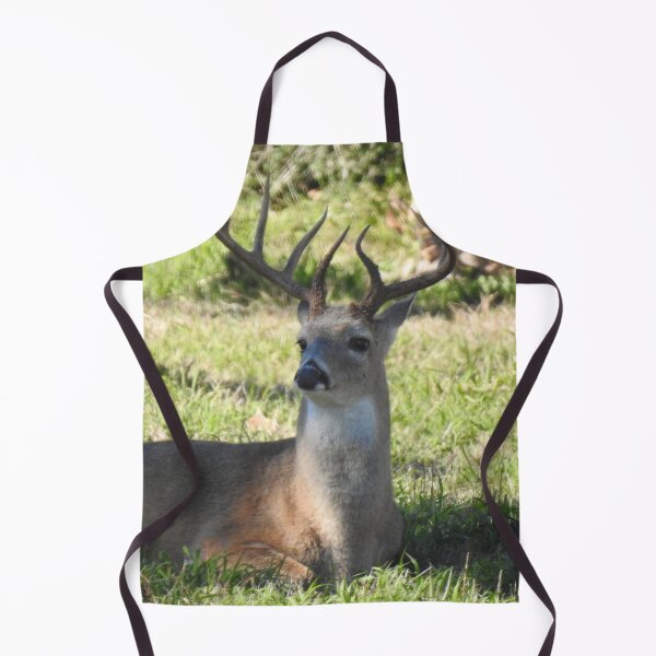 Item preview, White-tailed Deer Print designed and sold by Paul-Prints.