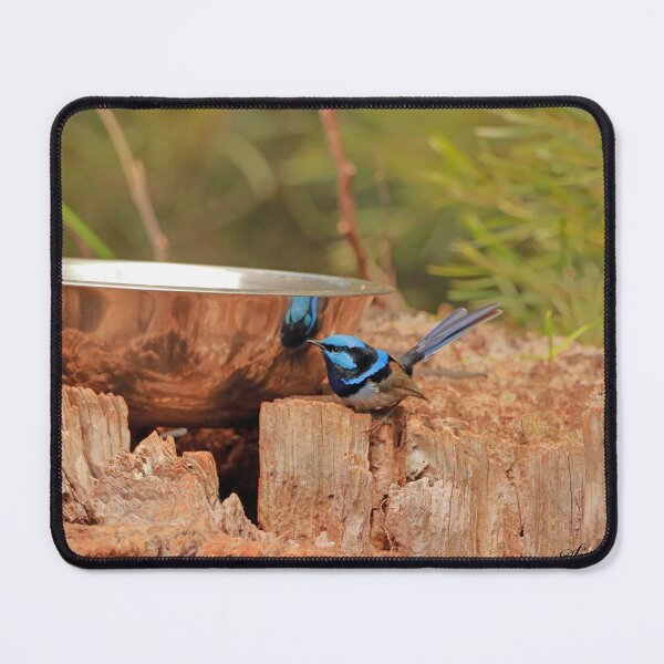Item preview, Blue Wren Bowl designed and sold by Simon  King.