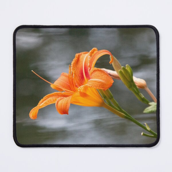 Item preview, Wild Tiger Lily designed and sold by KC-IM.