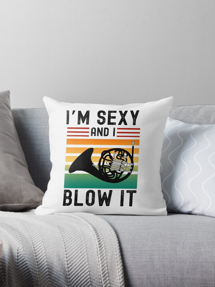 Funny Throw Pillows