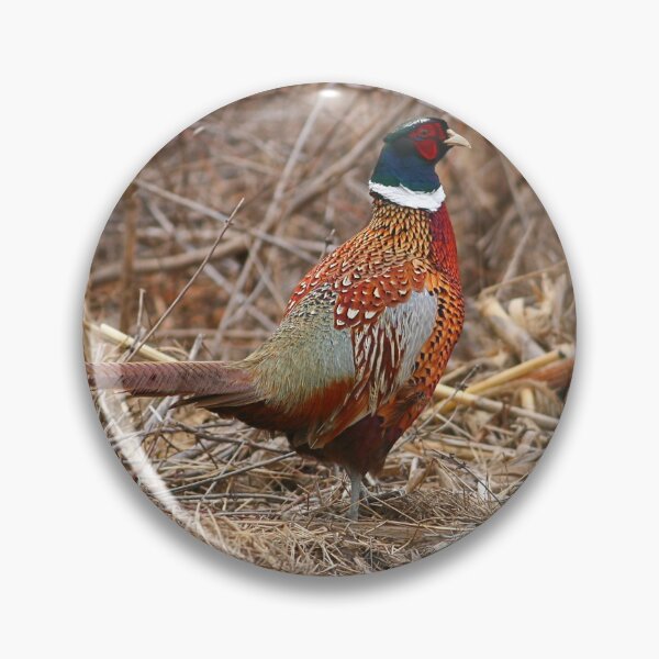 Item preview, Ring Neck Pheasant designed and sold by Enola Gay Wagner.