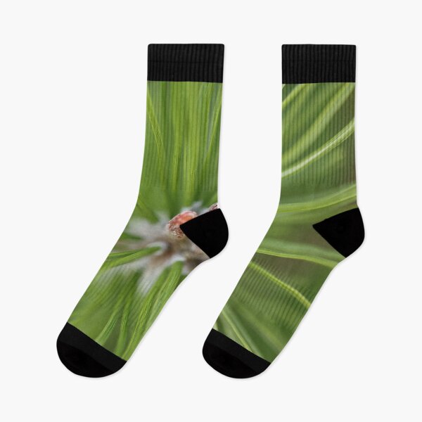 Item preview, Evergreen Macro designed and sold by LisaNaturePhoto.