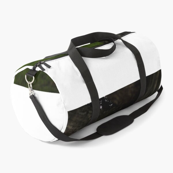 Item preview, Enzo designed and sold by JWKexotics.