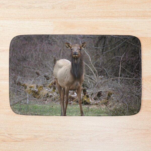 Item preview, Beautiful Cow Elk designed and sold by KC-IM.