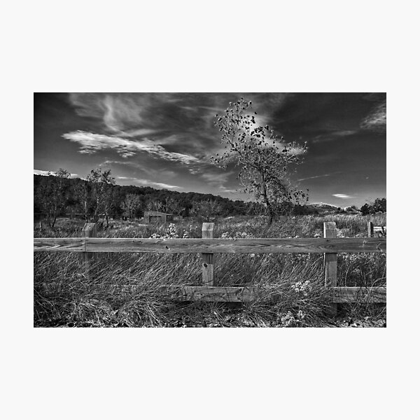 Item preview, Autumn in Black & White designed and sold by Victoria Jostes.