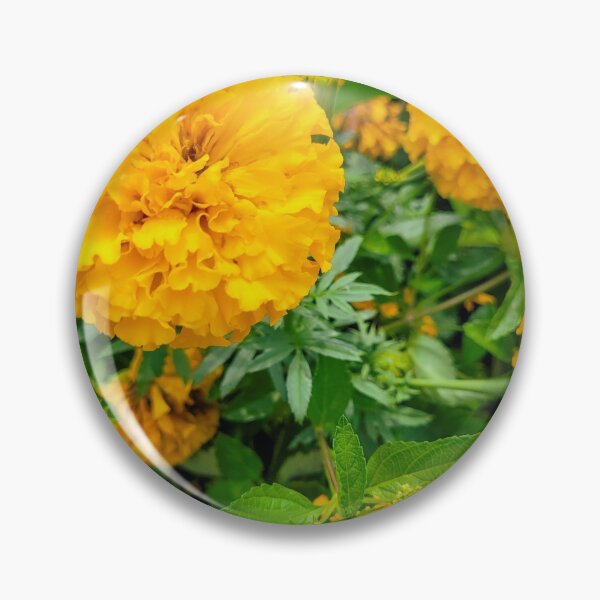 Item preview, Marigolds designed and sold by tiramisumoo.