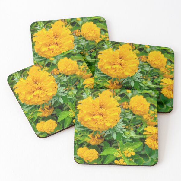 Item preview, Marigolds designed and sold by tiramisumoo.