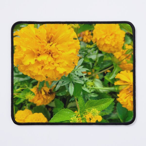 Item preview, Marigolds designed and sold by tiramisumoo.