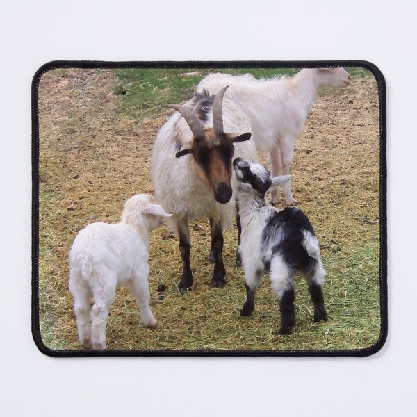 Item preview, Kid Goats Kissing designed and sold by dogplay.