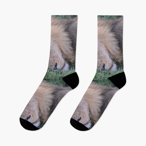 Item preview, African Lion (3) designed and sold by CncptulCaptures.