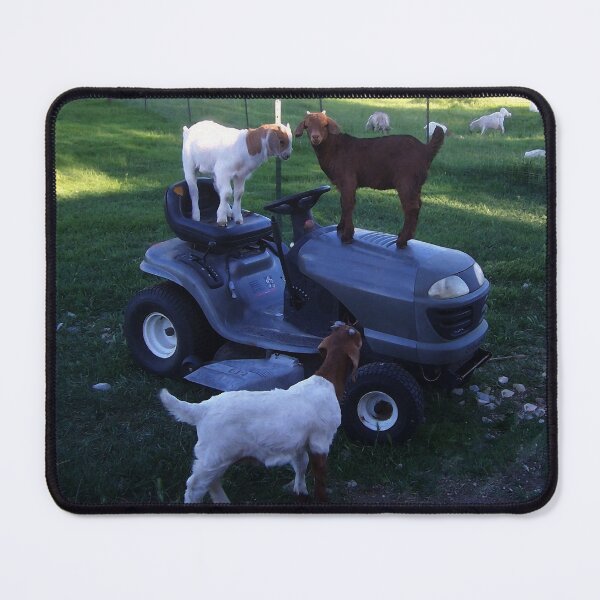 Item preview, Goat Kids on a Mower designed and sold by dogplay.