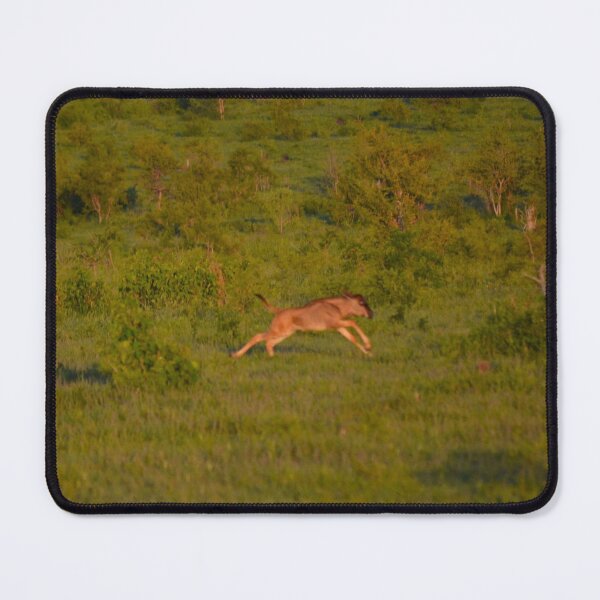 Item preview, African Wildebeast designed and sold by CncptulCaptures.