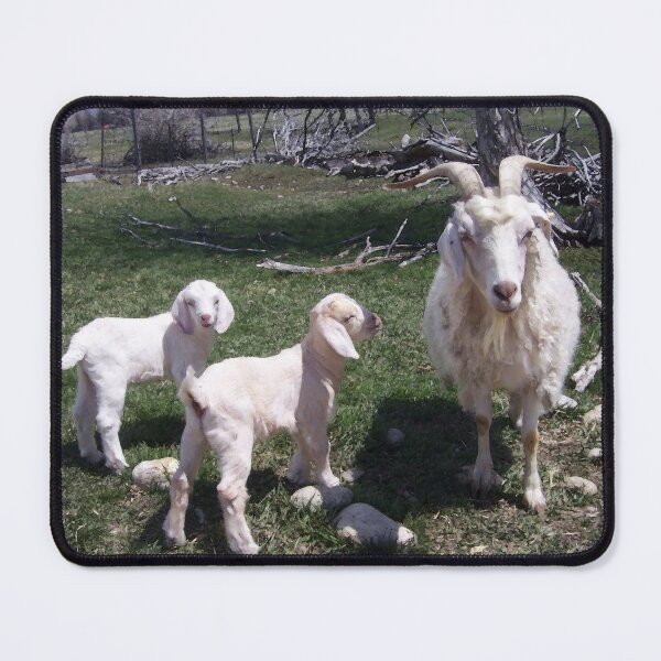 Item preview, Two Kids Too Cute designed and sold by dogplay.