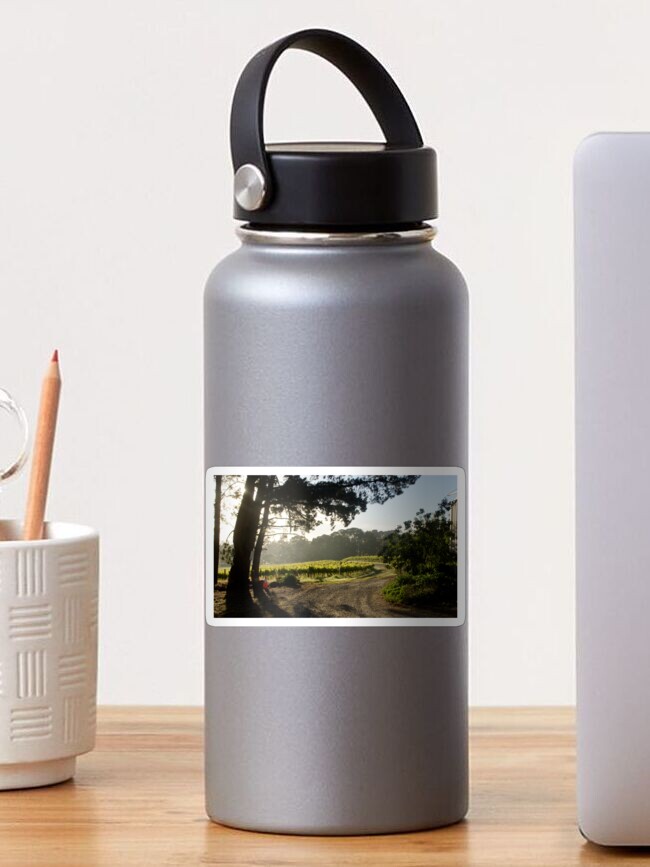 Thumbnail 1 of 3, Sticker, Morning light in the Vineyard by Adelaide Artist Avril Thomas at Magpie Springs designed and sold by MagpieSprings.