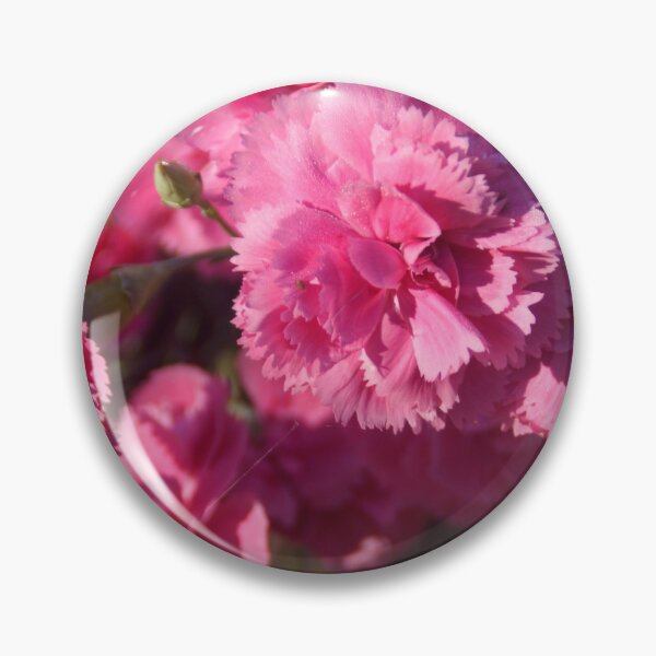 Item preview, Pink Carnations by Adelaide Artist Avril Thomas at Magpie Springs  designed and sold by MagpieSprings.