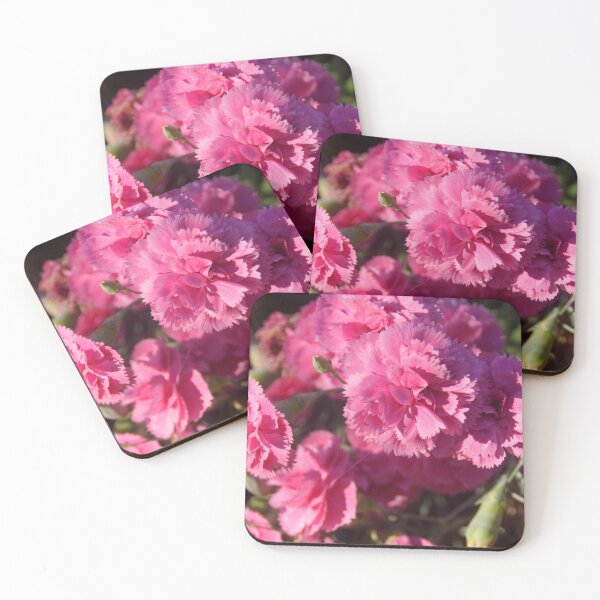Item preview, Pink Carnations by Adelaide Artist Avril Thomas at Magpie Springs  designed and sold by MagpieSprings.