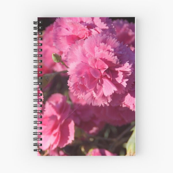 Item preview, Pink Carnations by Adelaide Artist Avril Thomas at Magpie Springs  designed and sold by MagpieSprings.