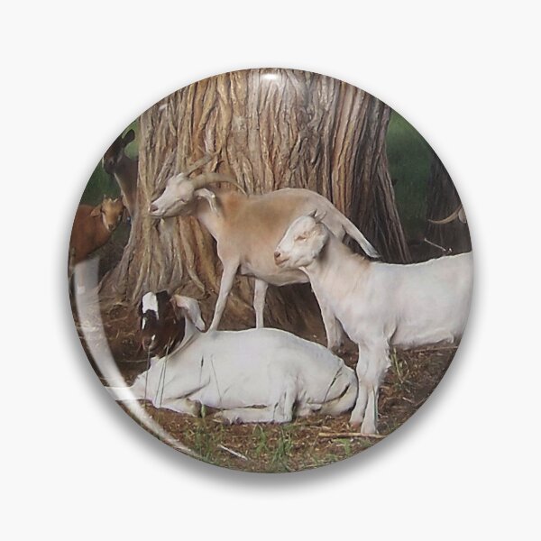 Item preview, Goats at Siesta Under the Trees designed and sold by dogplay.