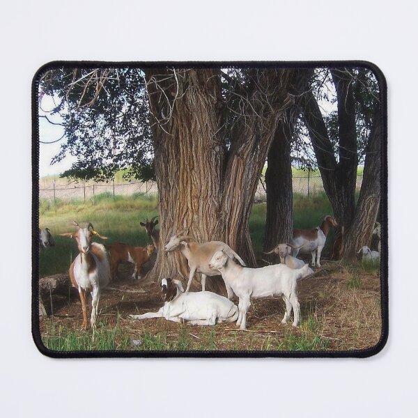Item preview, Goats at Siesta Under the Trees designed and sold by dogplay.