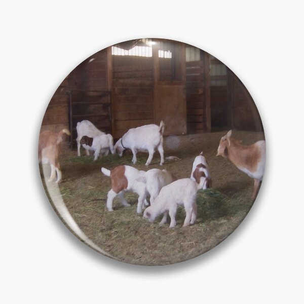 Item preview, Goats in the Barn designed and sold by dogplay.