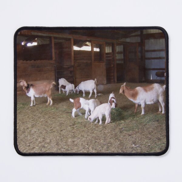 Item preview, Goats in the Barn designed and sold by dogplay.