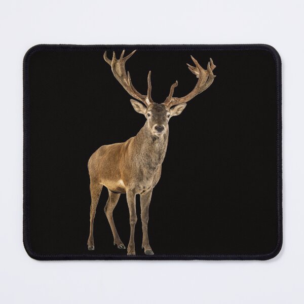 Item preview, Virginia deer designed and sold by Photorebelle.