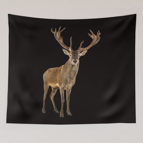 Item preview, Virginia deer designed and sold by Photorebelle.
