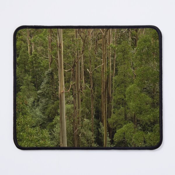 Item preview, Tall Trees designed and sold by Catherine Reading.