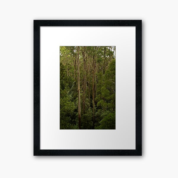 Item preview, Tall Trees designed and sold by Catherine Reading.
