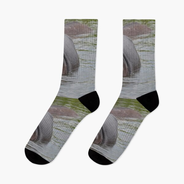 Item preview, African Hippopotamus (5) designed and sold by CncptulCaptures.