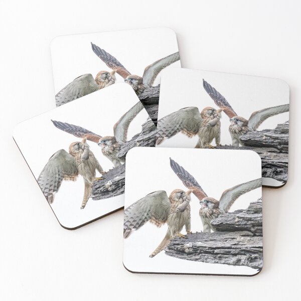 Item preview, Nankeen kestrels with mouse.  designed and sold by DaveBassett.