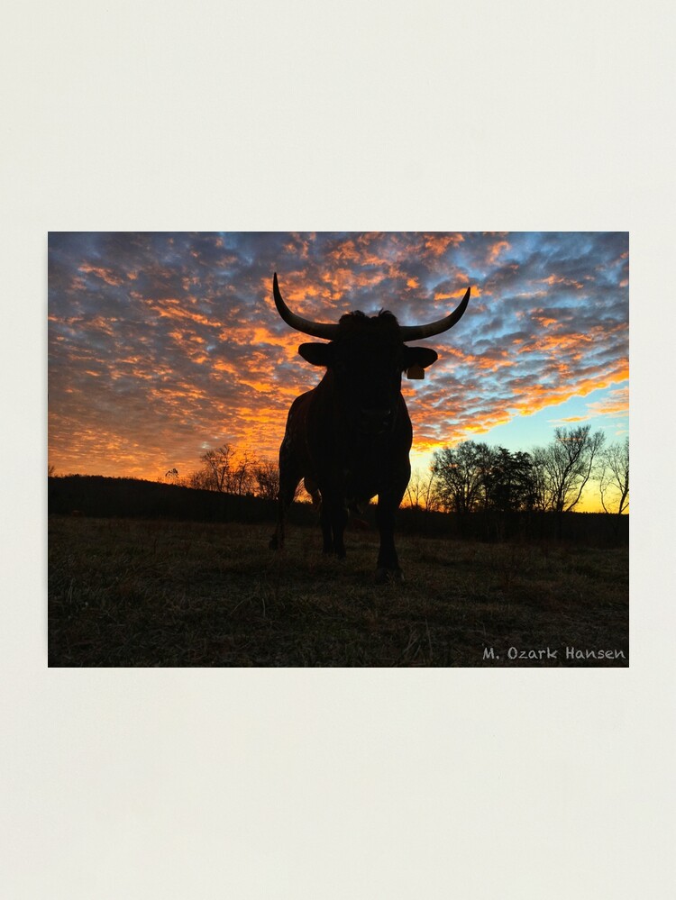 Thumbnail 2 of 3, Photographic Print, Pineywoods Shaman Rising designed and sold by OzarkAkerzFarm.