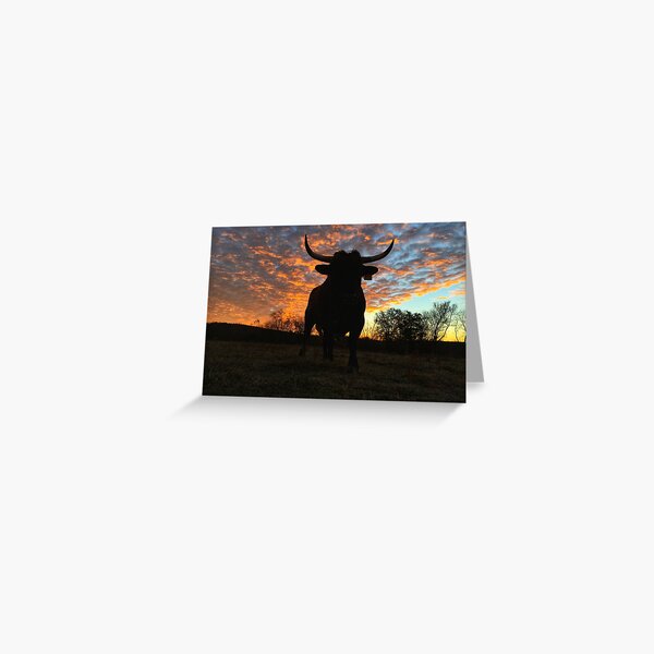 Pineywoods Shaman Rising Greeting Card