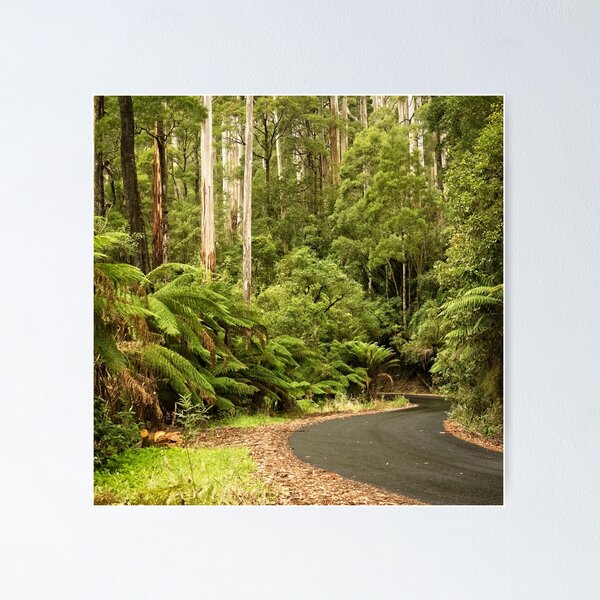 Item preview, Forest Drive designed and sold by Catherine Reading.