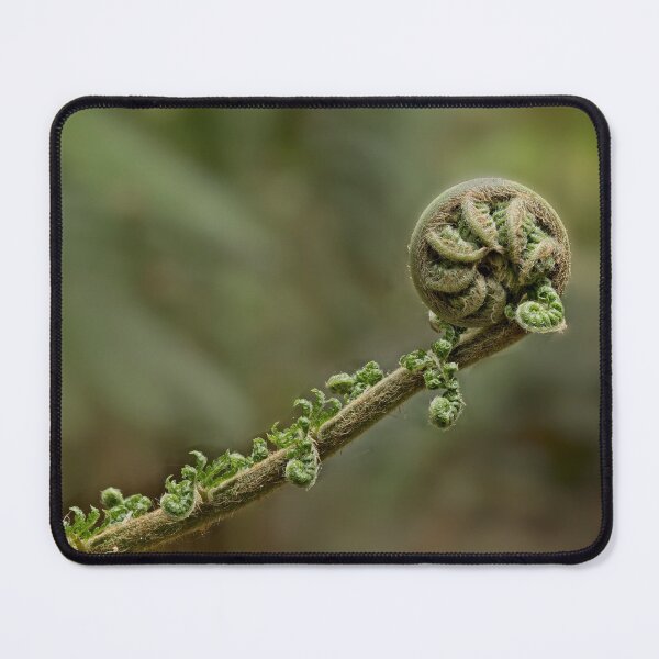 Item preview, Awakening Rainforest Fern designed and sold by Catherine Reading.