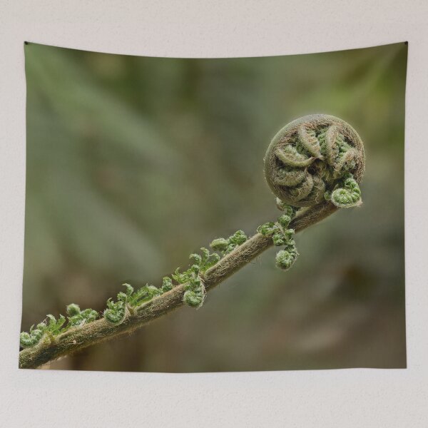 Item preview, Awakening Rainforest Fern designed and sold by Catherine Reading.