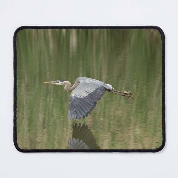 Item preview, Great Blue Heron 972 designed and sold by PaulKPhoto.