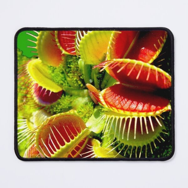 Item preview, "VENUS FLY TRAP" Flowered Poster Print designed and sold by posterbobs.