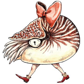 Artwork thumbnail, Ribbon Nautilus by KiyomiInoue
