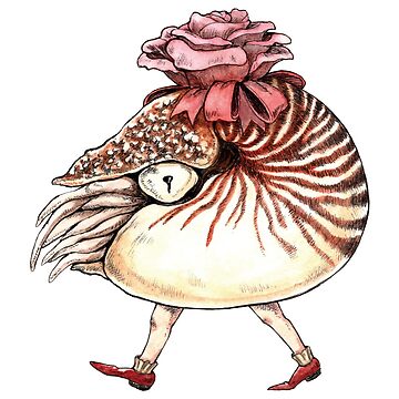 Artwork thumbnail, Flower nautilus by KiyomiInoue